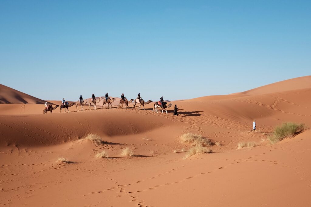 Morocco Travel Buddy